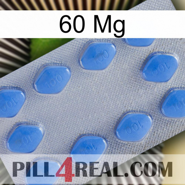 60 Mg 21.jpg